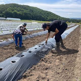 栁澤太一 | 咲工房