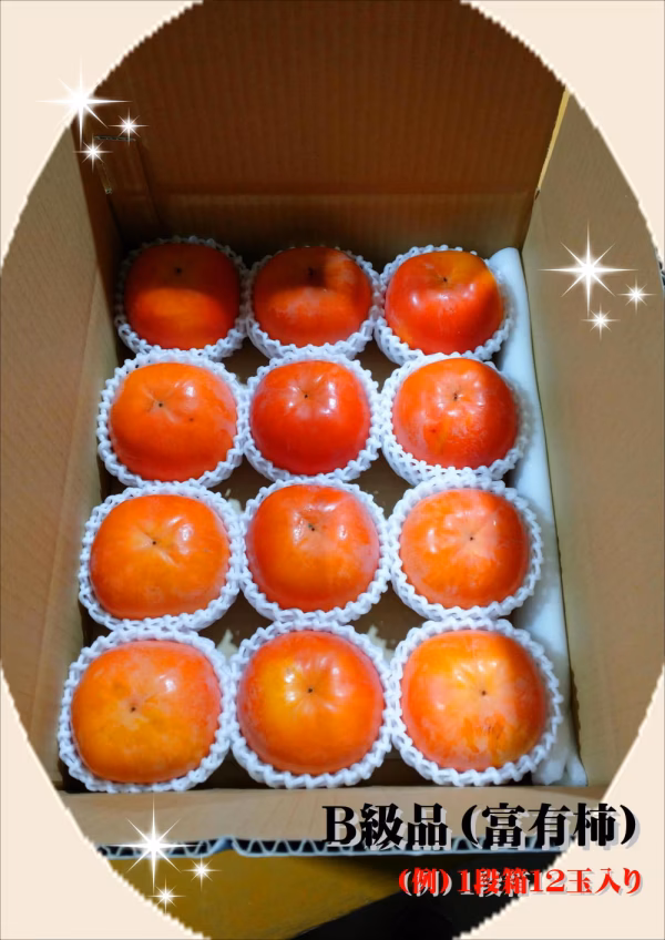 一心農園の富有柿　訳あり　約4㎏(12～15個入)