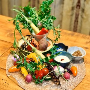 【お試しBOX】医療人が栄養価にこだわった【旬の機能性野菜9~10品目セット】