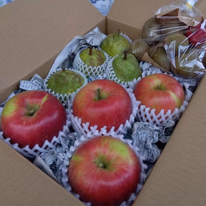 【家庭用よくばりセット/果物3種】シナノスイート・ラフランス・ゴールドキウイ