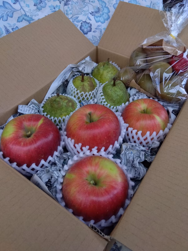 【家庭用よくばりセット/果物3種】シナノスイート・ラフランス・ゴールドキウイ