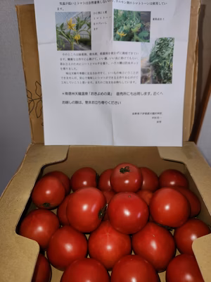 みんなの投稿の画像