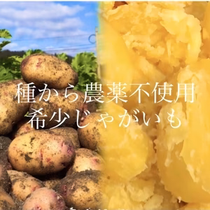最後の再販5kg"農家の中でも『希少』の固定種！毎年完売！本当美味しい春じゃが芋