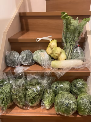 みんなの投稿の画像