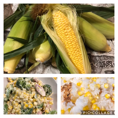 みんなの投稿の画像