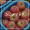 無添加ジュース「林檎のしずく」果汁100％/6品種飲み比べ/特栽/ネオニコフリー