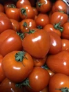 イチゴのようなハート型のトマト‼️形も味も魅力的☆トマトベリー