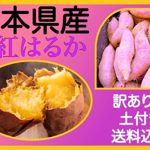 【送料込みでこの価格！】熊本県産　訳あり紅はるか(土付き)