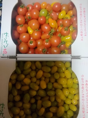 みんなの投稿の画像