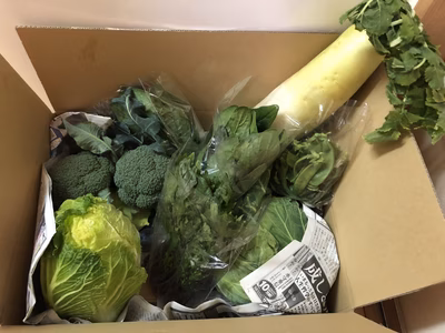 みんなの投稿の画像