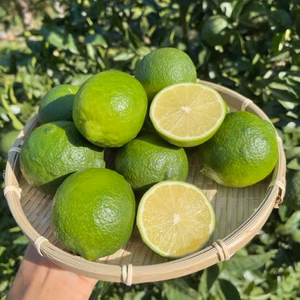 キリッと爽やか！まるまる太ったジューシーなライム★