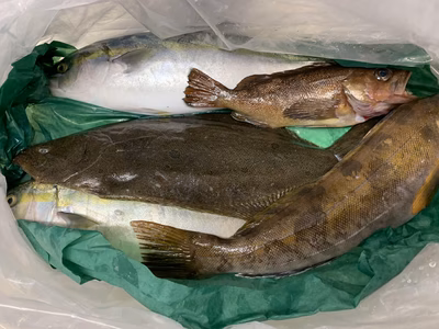 みんなの投稿の画像