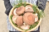 驚きの大きさと味！福王しいたけ（中～大サイズ/600ｇ）