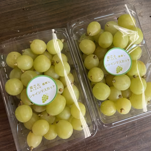★完熟　皮が薄くて食べやすい　シャインマスカット　粒パックセット（１P350g