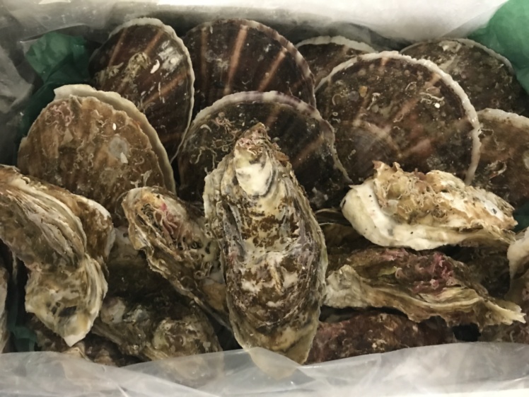 今だけ増量 産地の鮮度をそのままに 刺身で食べる春ニシン 刺身用 急速冷凍 農家漁師から産地直送の通販 ポケットマルシェ