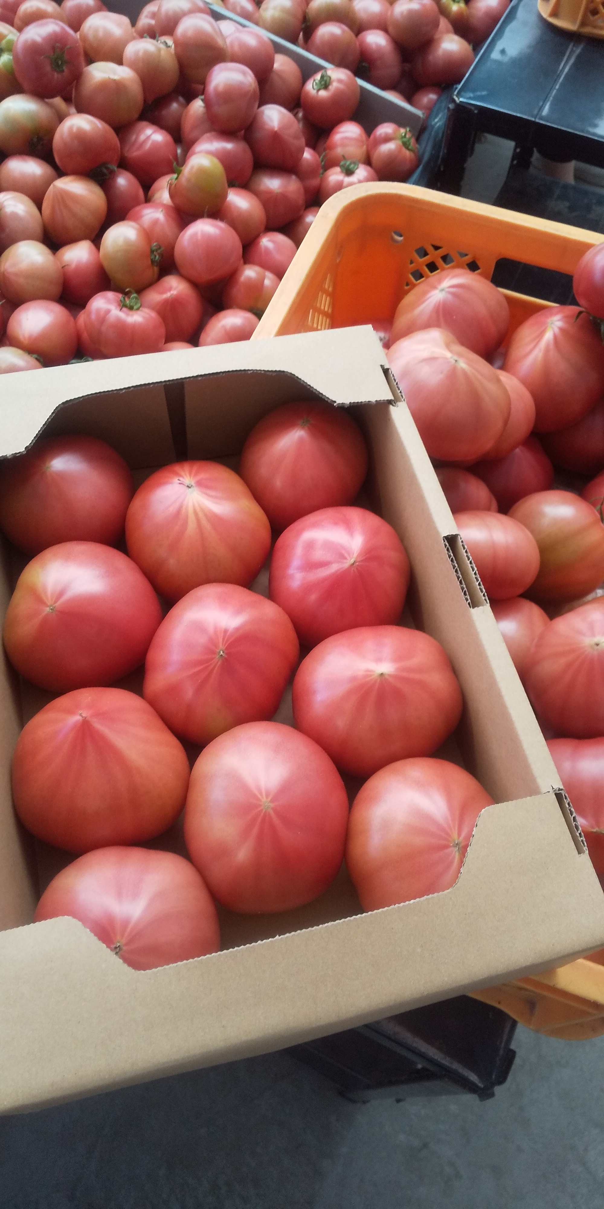 [100%純トマト]2キロ箱 桃太郎 桃太郎トマト2キロ箱
