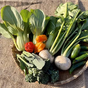 【お試し】そのとき畑で収穫できる野菜詰め合わせ！【小サイズ】