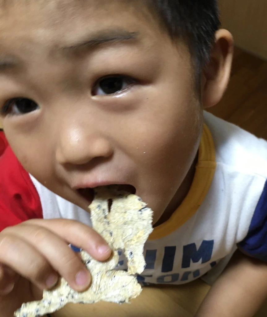 お試メール便】1個からひじき、ちりめん煎餅、燻製の粉、ちりめんひじき