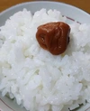 ゆうだい21令和5年産 白米5ｋｇ