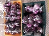 紫玉葱♡2ｷﾛ以内