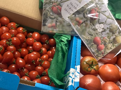 みんなの投稿の画像