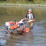 菅 一郎 | 佐渡 シルクれんこん