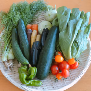 【自然農法の畑から直送 ♪ 】イタリア野菜の入った野菜セット