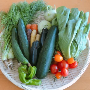 【自然農法の畑から直送 ♪ 】イタリア野菜の入った野菜セット
