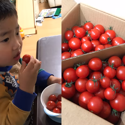 みんなの投稿の画像