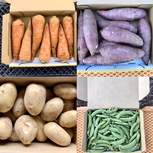 【鹿児島産】80甘塩野菜セット4品目^_^