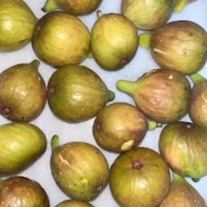 本日の朝市❗️ フランスの白イチジク「バナーネ」