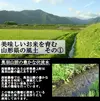 【山形県産】慣行栽培米 はえぬき 岩魚米（白米20kg）