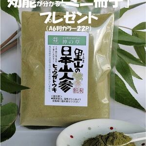 日本山人参（ヒュウガトウキ）粉末