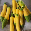 季節の西洋野菜 おまかせ5点詰め合わせ