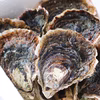 希少なLL～特大16個！ずっしり濃厚「五島列島」岩牡蠣　(生食用)