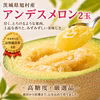 【令和5年品質優良賞受賞】茨城県産 アンデスメロン２玉
