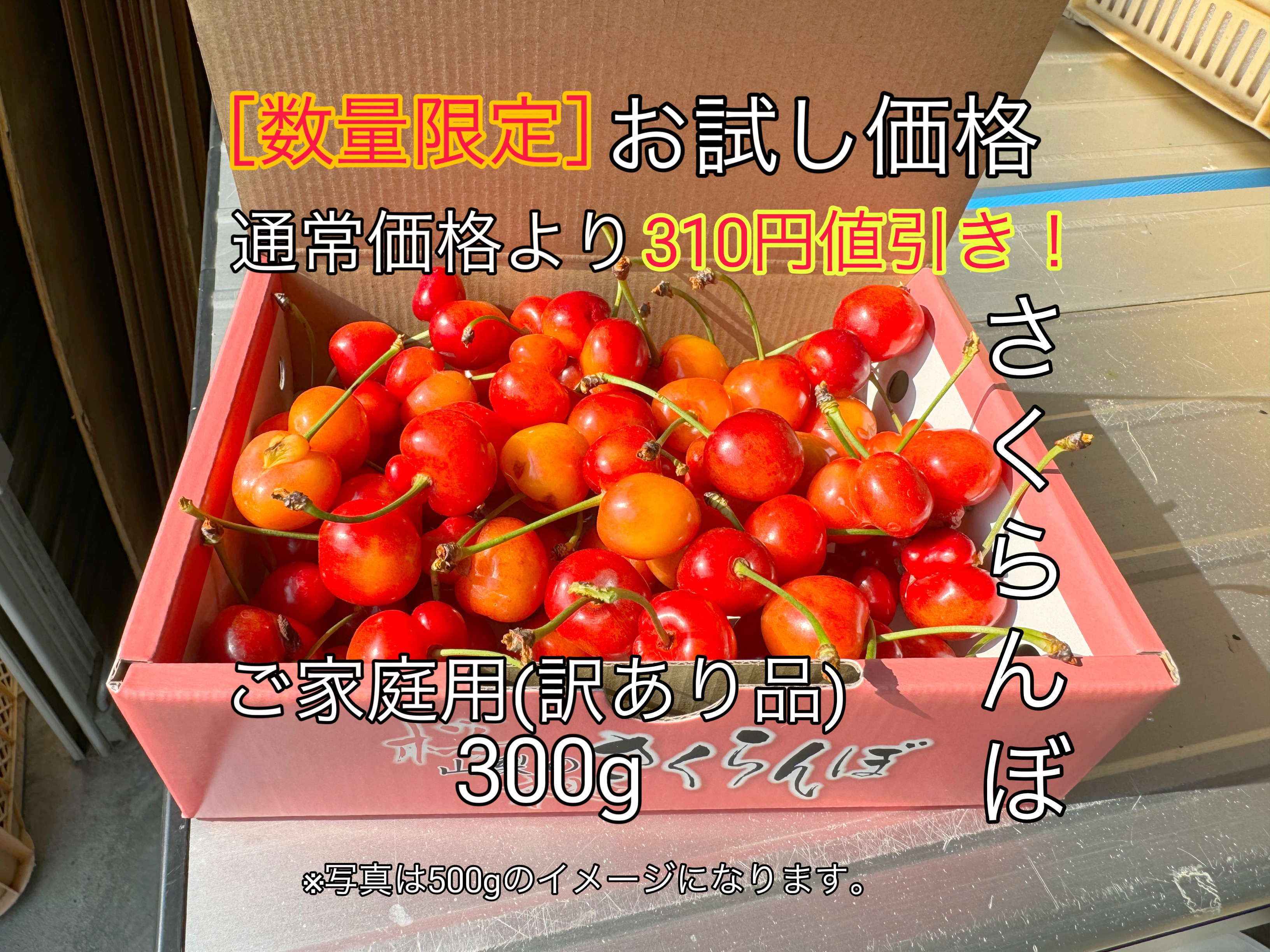 ダークチェリー 約5kg 大粒限定 産地箱 ニュージーランド産 空輸