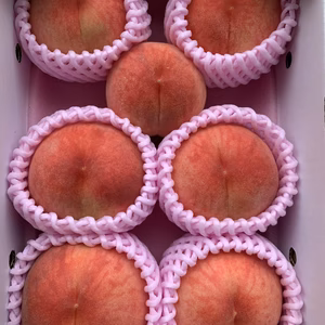 【初回の方限定‼︎】品種お任せ‼︎お買い得‼︎6〜8玉、陽夏妃、川中島白桃