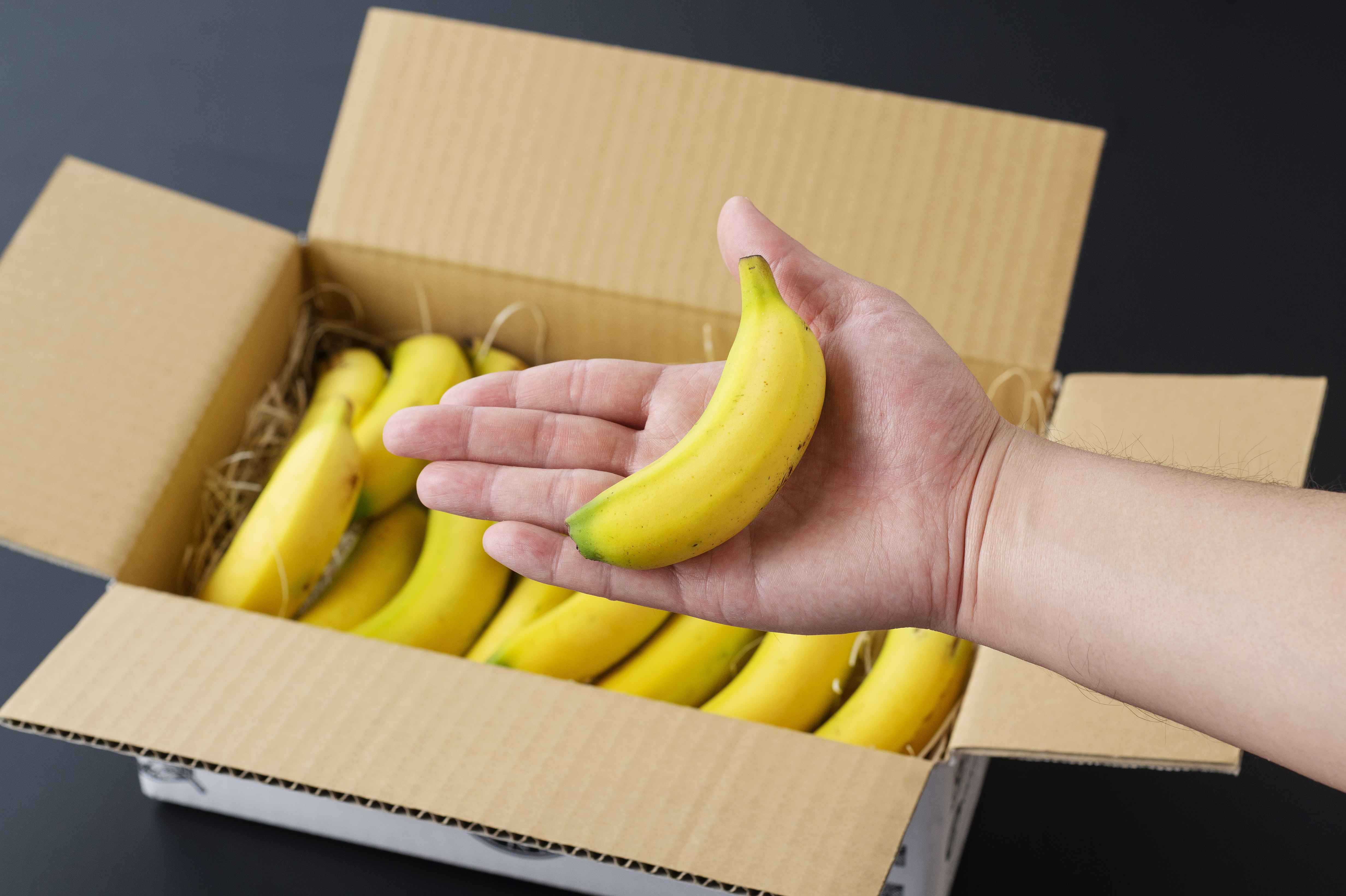 訳あり】バナナツリー3本＋バナナ お買い得♪