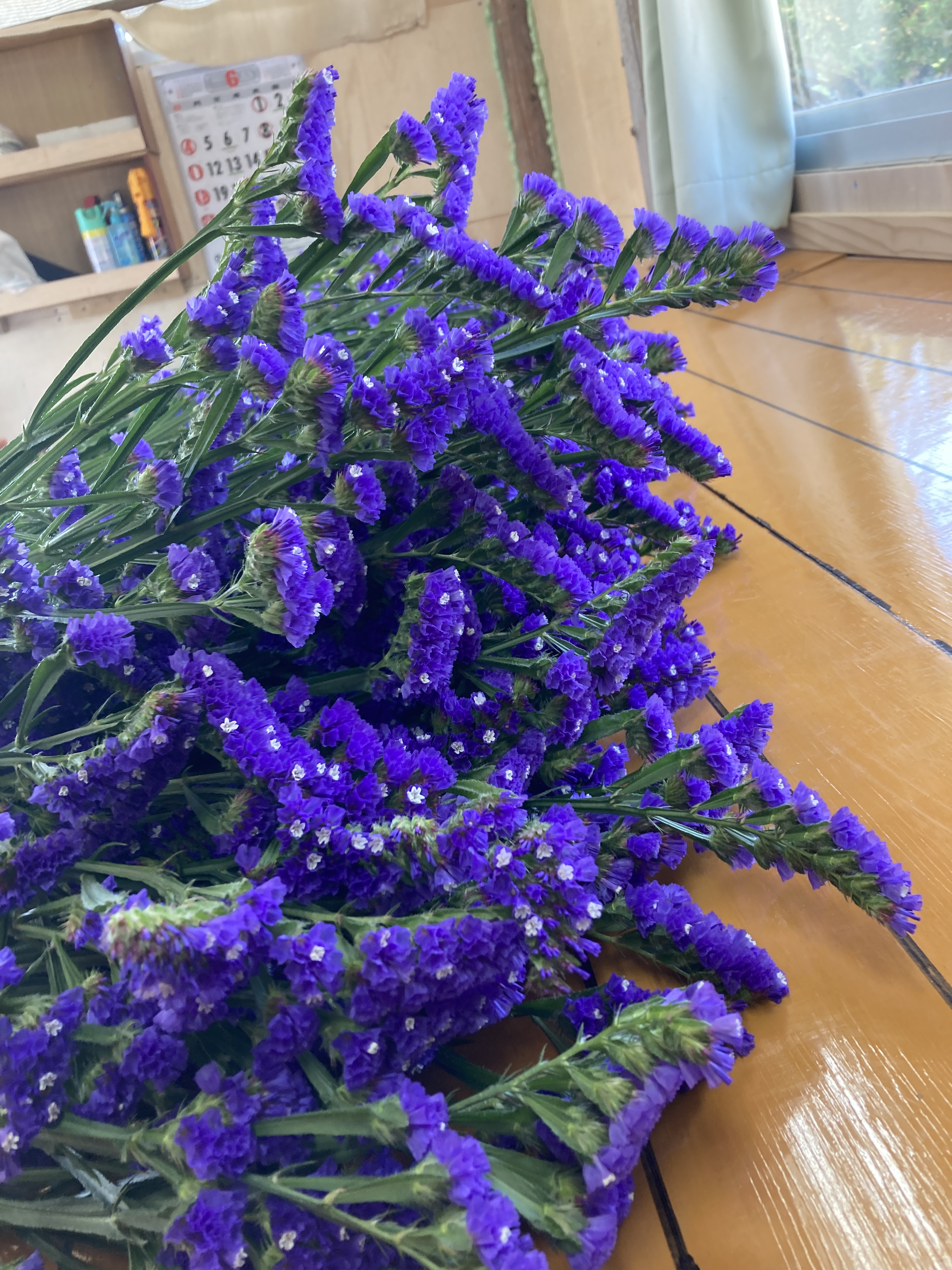 ハイブリッドスターチス❣️薄紫系 〈No.15〉 スターチス 紫色 15本～20本｜花（切花・鉢花）の商品詳細