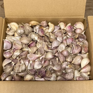 ニンニク、鱗片(バラ)3kg　無農薬/有機肥料/除草剤不使用 桜島の恵み