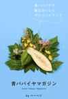 【福袋2022】★ZEPPINサラダパパイヤ★　愛情いっぱいに育てた大分県産