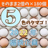 【福袋2022】ver.大入り５色のタマゴセット×180個‼