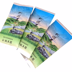 【送料無料】川根茶 山あい育ちの奥川根自家用 一番摘み煎茶100g平袋入り