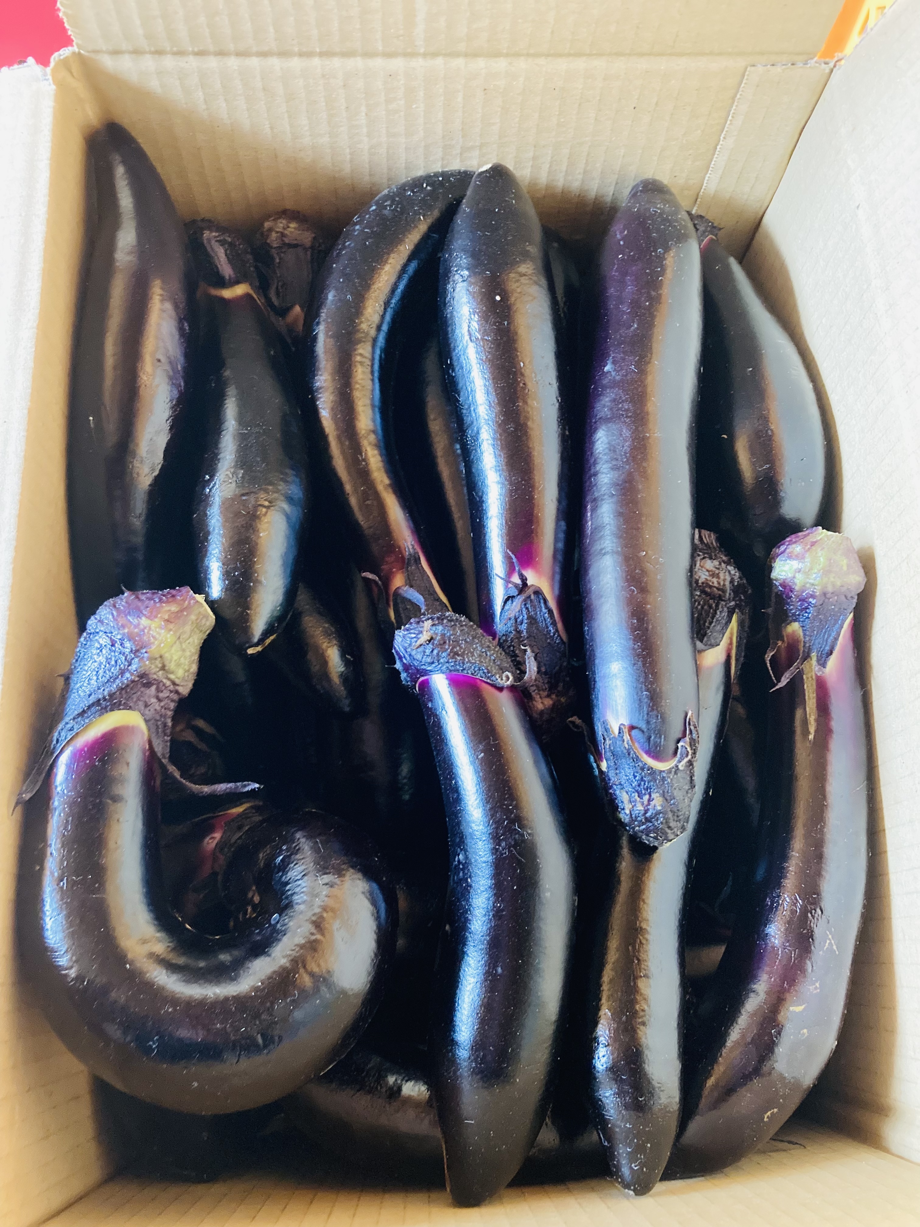 クール便 朝取りナス詰め合わせ 茄子詰め合わせ 5kg前後 農家漁師から産地直送の通販 ポケットマルシェ