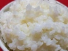 令和2年産　特別栽培米 ミルキークイーン  白米 