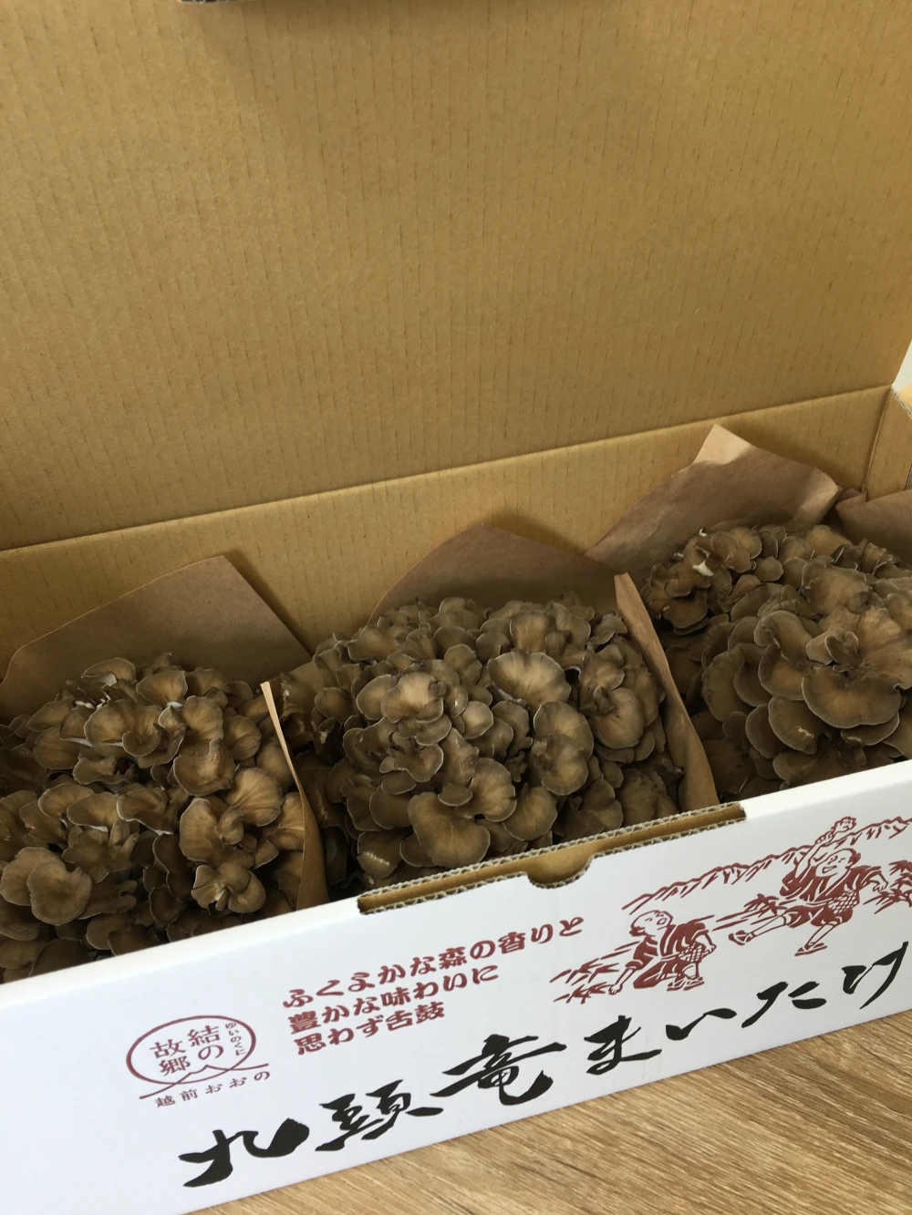 九頭竜まいたけ【3株入】