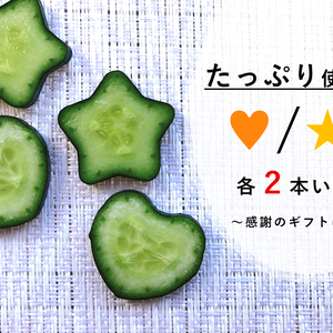 【個包装/★＆♥各２本入】《１８本》きゅうり詰め合わせ