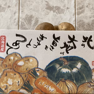 北の野菜たち　じゃがいも4.5K g