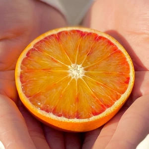 【甘さと爽やかな酸味】ブラッドオレンジ【真っ赤な高級柑橘】